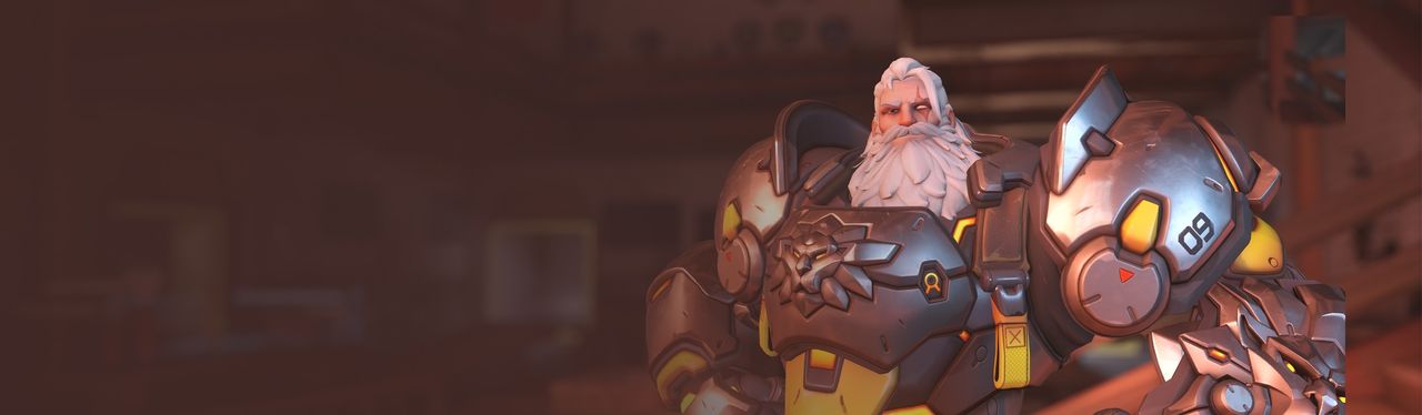 Reinhardt banner