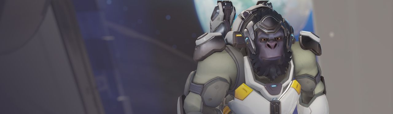 Winston banner