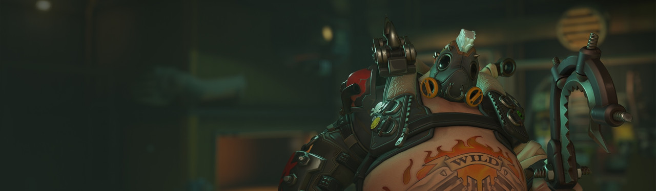 Roadhog banner