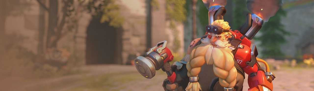 Torbjörn banner
