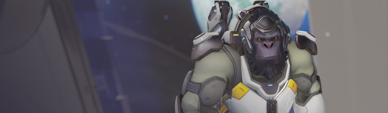 Winston banner