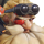 Torbjörn