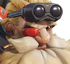 Torbjörn